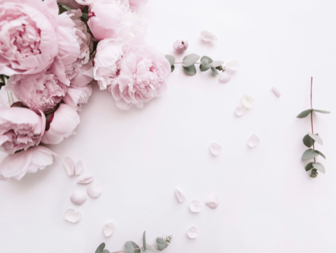 Le Guide Scientifique de la Tenue des Fleurs en Été : Comment Protéger vos Bouquets de la Chaleur ?