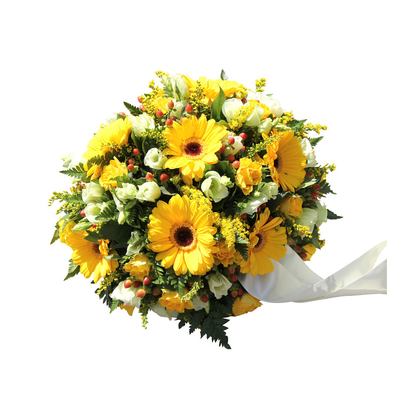 Livraison Pachira | Vente en ligne Fleur et Fleurs