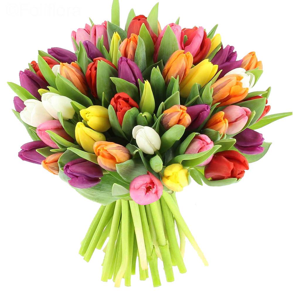 Livraison Fleurs A Bouniagues Livraison Gratuite Livraison Fleurs A Bouniagues Livraison Gratuite